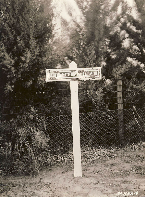 Old School Signage: Toad Springs, 1926