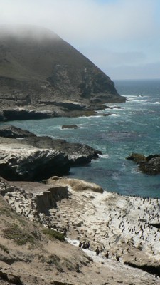 Troop 201 Expedition: Santa Rosa Island