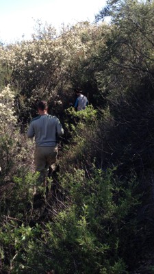 Kennedy Ridge and the East Camino Cielo, Redux